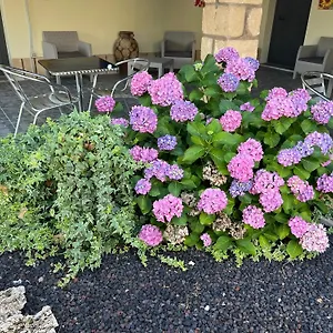  Alloggio per agriturismo Su Tasuru